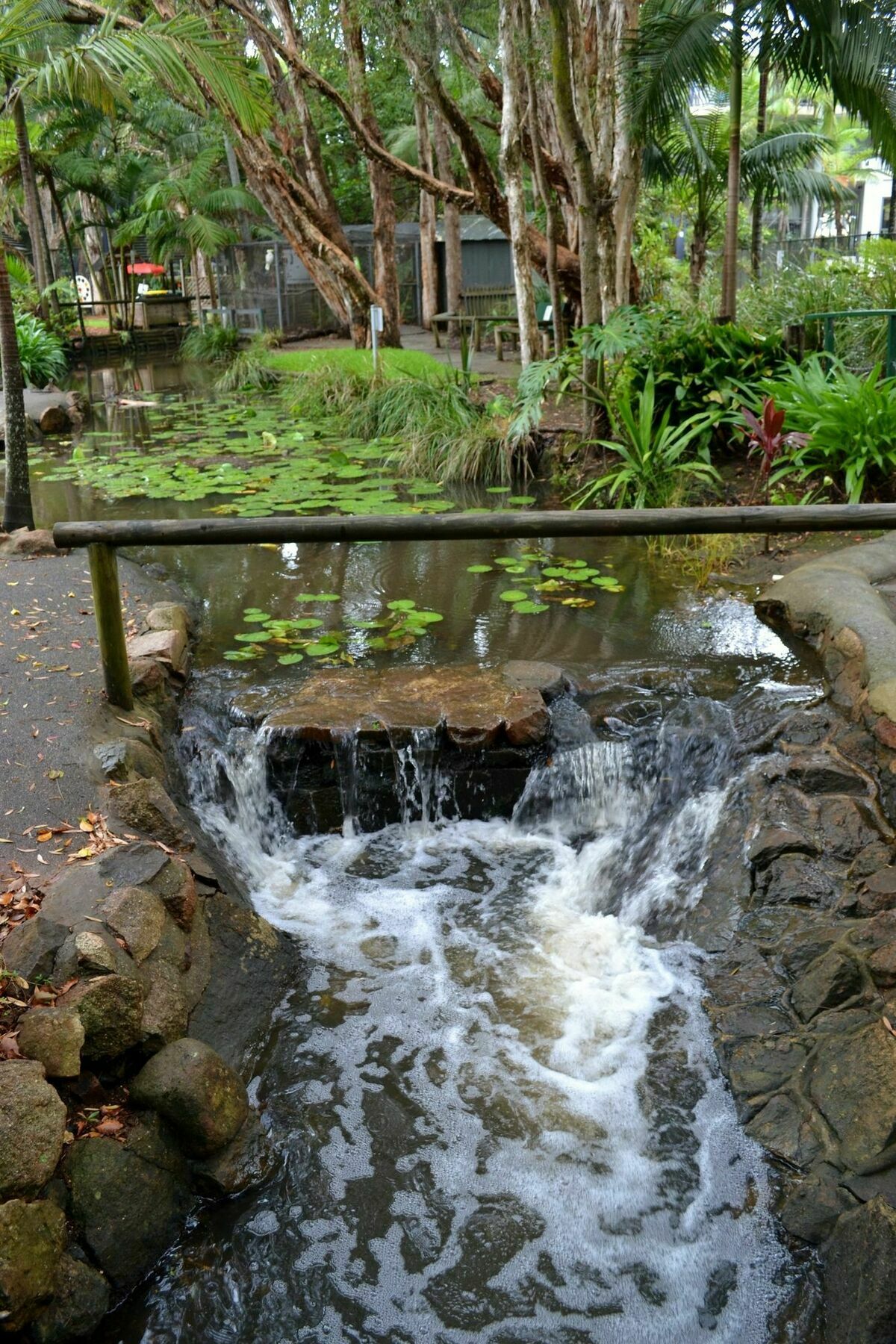 Flynns Beach Resort Port Macquarie Exterior foto